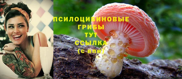СК Аркадак