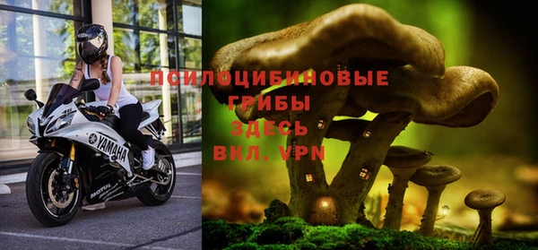 СК Аркадак