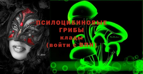 соль ск Арсеньев