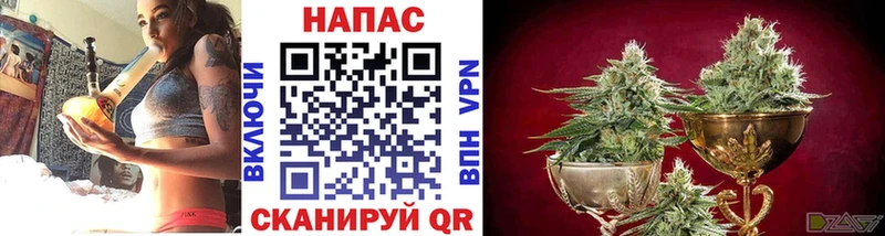 МЕГА ССЫЛКА Усть-Джегута Марихуана гибрид