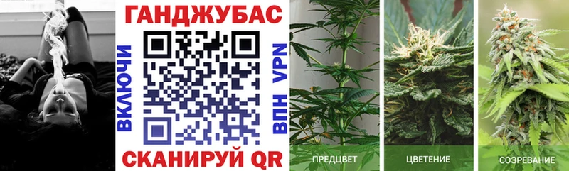 Бошки Шишки план Усть-Джегута