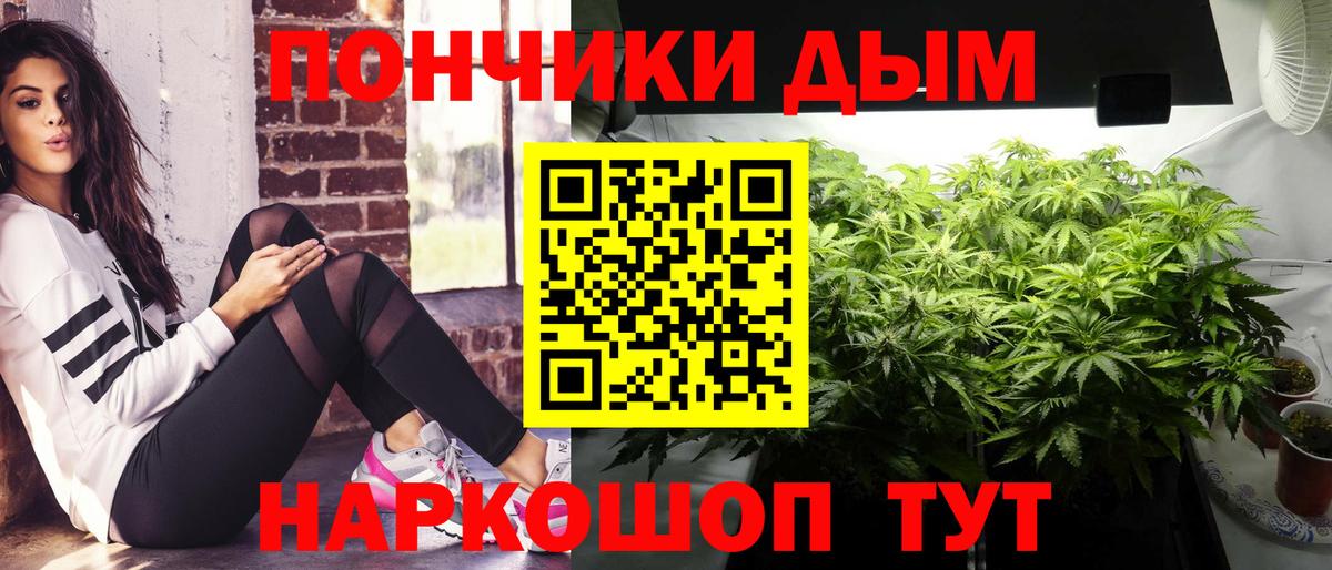 Шишки марихуана планчик  Вход с VPN  Бошки марихуана гибрид  МАРИХУАНА ГИДРОПОН  Усть-Джегута 